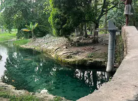 Attraction