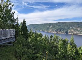 Attraction