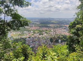 Bukit Mertajam Forest Park
