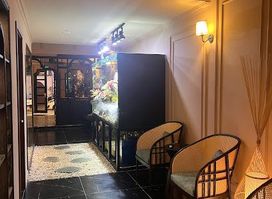 Attraction