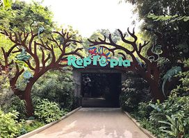 Attraction