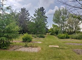 Attraction