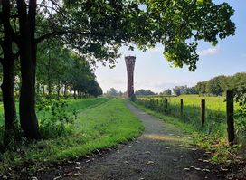 Attraction