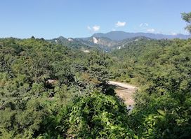 View point Menoka tee garden.