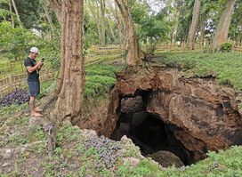 Monfort Bat Sanctuary