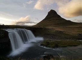 Bugsfoss