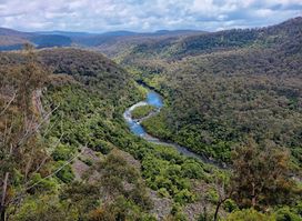 Mitchell River National Park