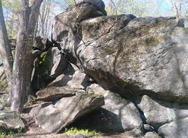 Attraction