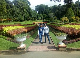 Attraction