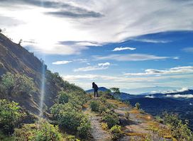 View point KM.41