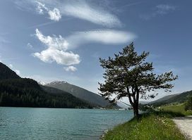 Alter Höhwaldsteg - OldjettyDavos