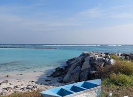 Shark point Thulusdhoo