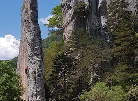 Attraction