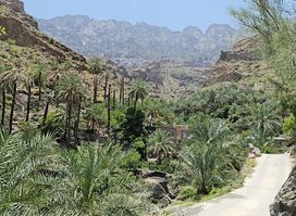 Al Fara’a