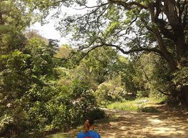 Ecological and Sports Park Cayalá