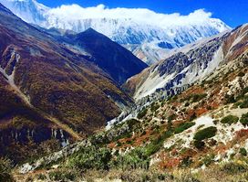 Attraction