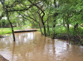 Attraction