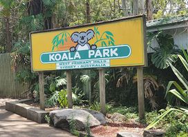 Attraction