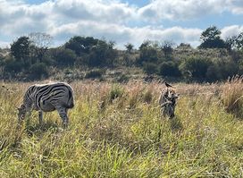 Rietvlei Nature Reserve Entrance Gate