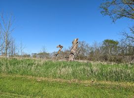 Attraction