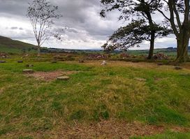 Bleasdale Circle