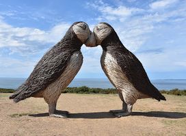 Attraction