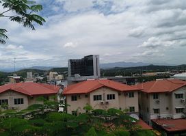 Attraction