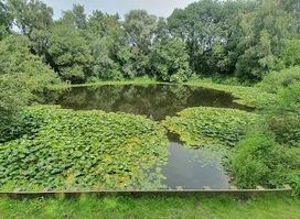 Attraction