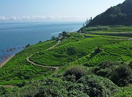 Shiroyone Senmaida Rice Terraces