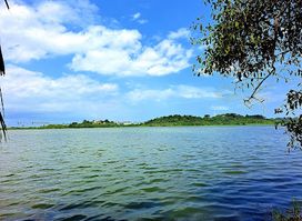 Attraction