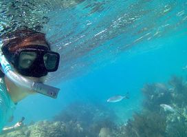 Attraction