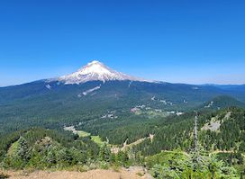 Attraction