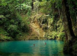 Canawa Cold Spring