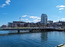 Attraction