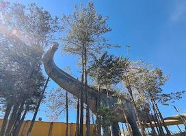 Attraction