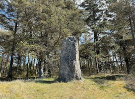 Mindesten for Klitplantør Thygeson