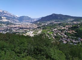 Bosco della Città