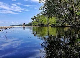 Punta Cahuita