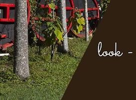 Mount Nathan Winery