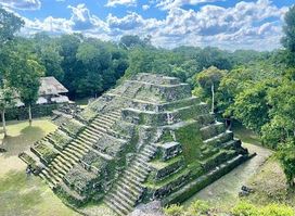 Attraction