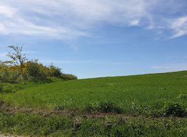 Attraction