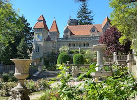 Bory Castle