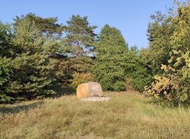Głaz zwiadowców