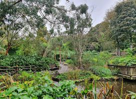Logan Botanic Garden