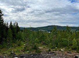 Häxberget