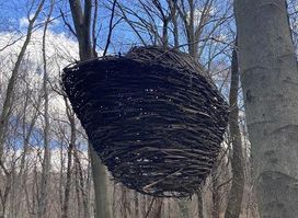 artinbosco