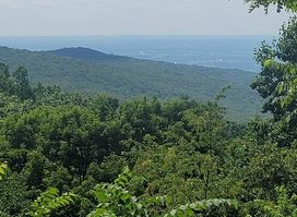 Attraction