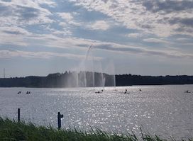 Springvand