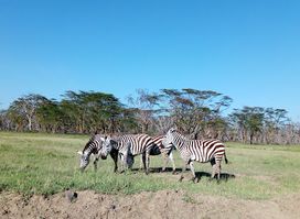 Lake Nakuru National Park