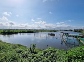 Hoi An Rice Fields-Cycling&Sunset
